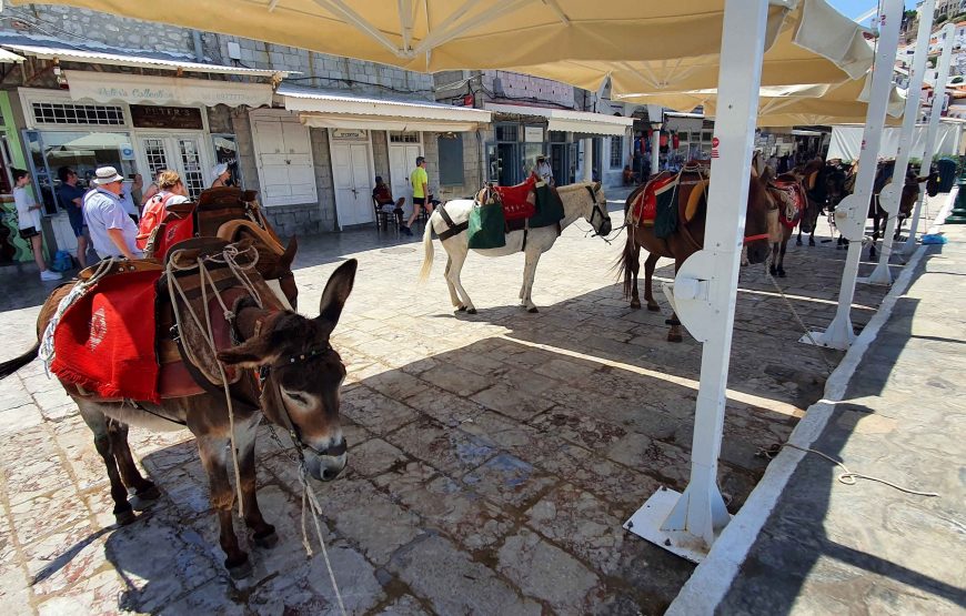 Hydra Island Tour from Athens (Private)